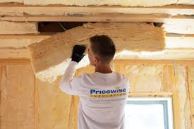 Best Eco-Friendly or Green Insulation Solutions  in Minor, AL