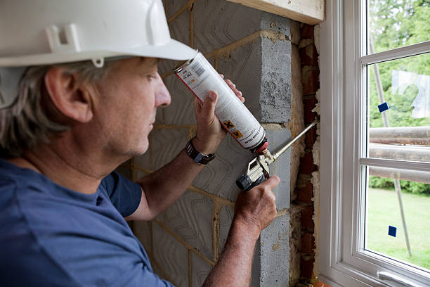 Best Wall Insulation Installation  in Minor, AL